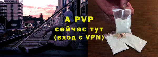 молекула духа Арсеньев