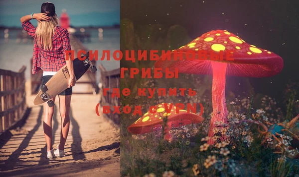 молекула духа Арсеньев