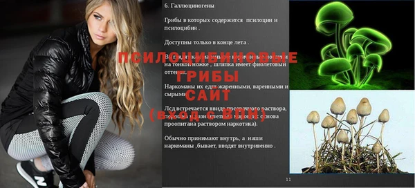 гидра Аркадак