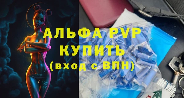 молекула духа Арсеньев