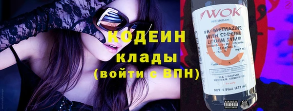 молекула духа Арсеньев